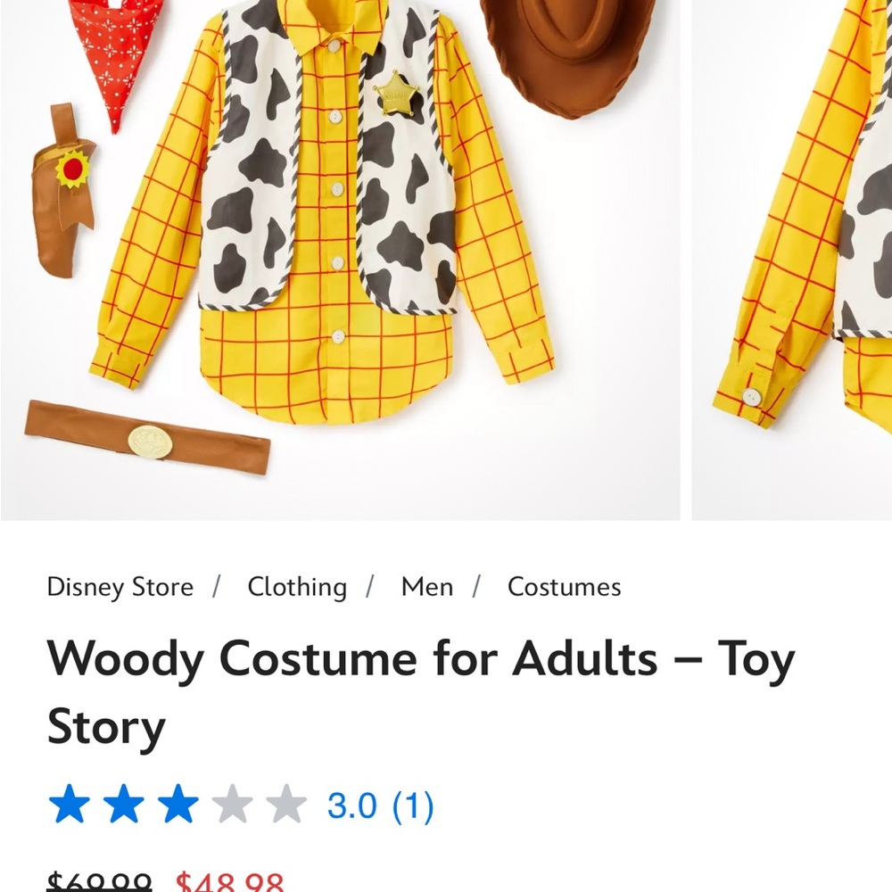 Disney Woody Costume for Adults - large